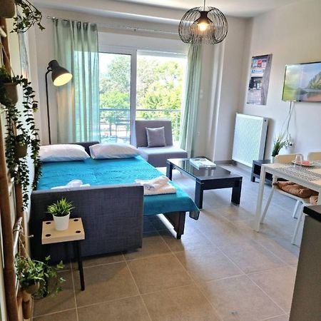 Palaia Premium Flat Διαμέρισμα Βόλος Εξωτερικό φωτογραφία
