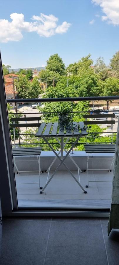 Palaia Premium Flat Διαμέρισμα Βόλος Εξωτερικό φωτογραφία